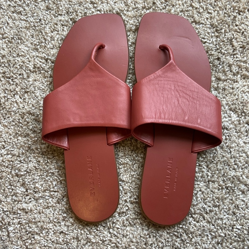 COPY - New Everlane Leather Thong Sandal in Burnt Sienna Mauve Size 8.5